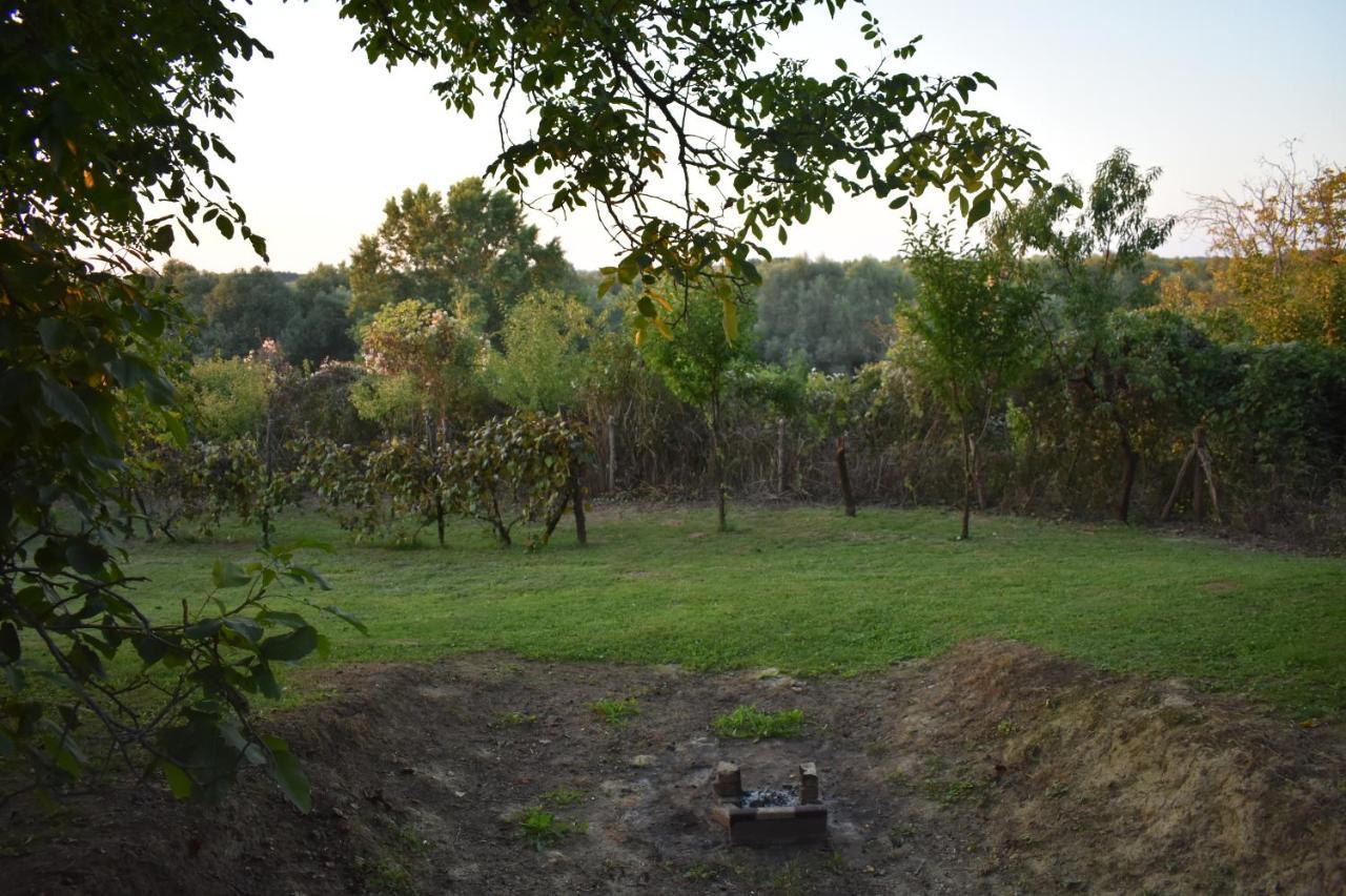 Odmor Za Dusu I Tijelo U Srcu Prirode Villa Almás Kültér fotó