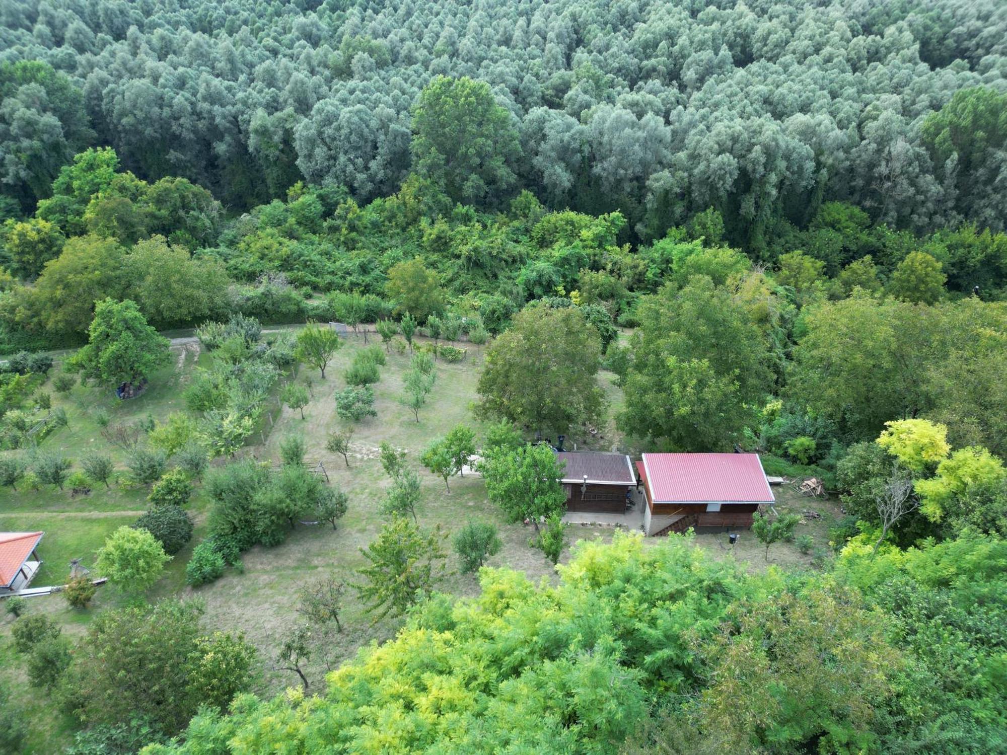 Odmor Za Dusu I Tijelo U Srcu Prirode Villa Almás Kültér fotó